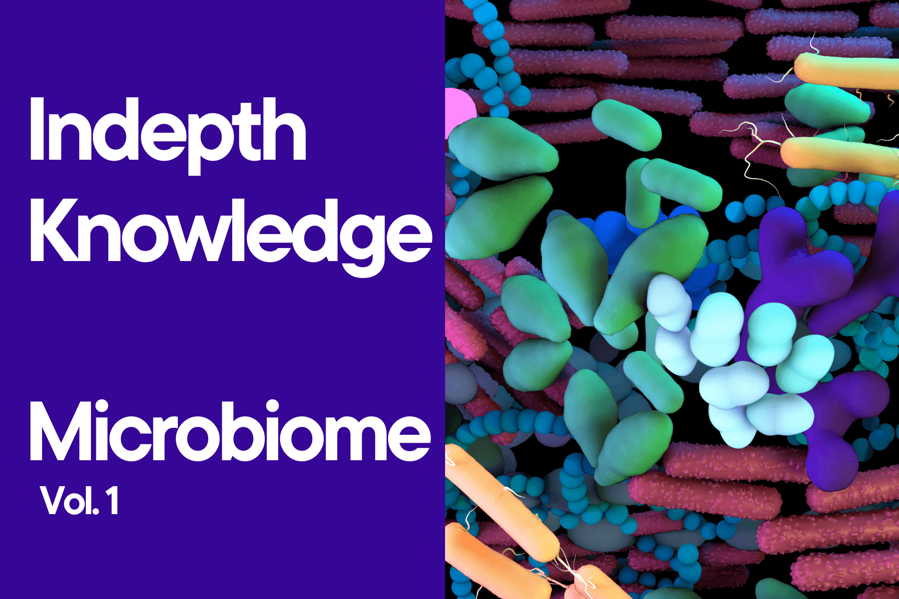 Indepth Knowledge Microbiome for Skincare : vol. 1 - Bestkoreanskincares