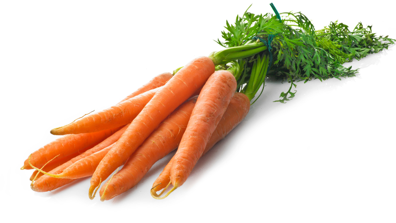 CARROT