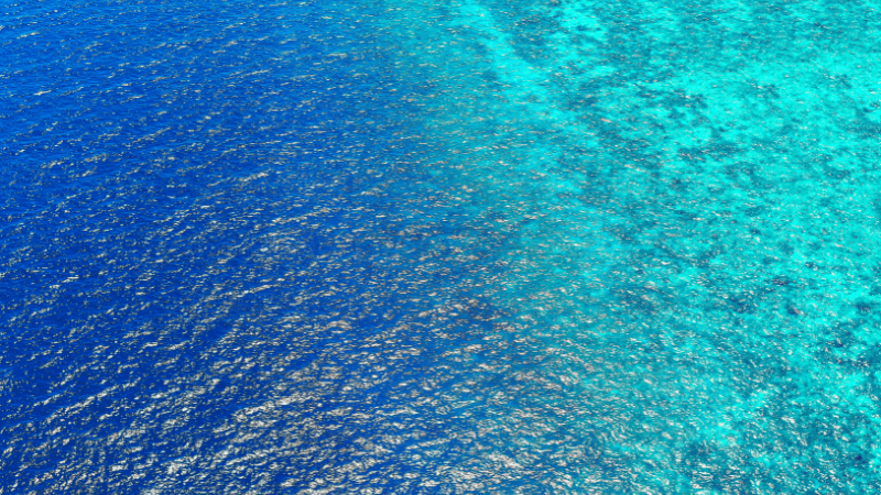 SEA WATER
