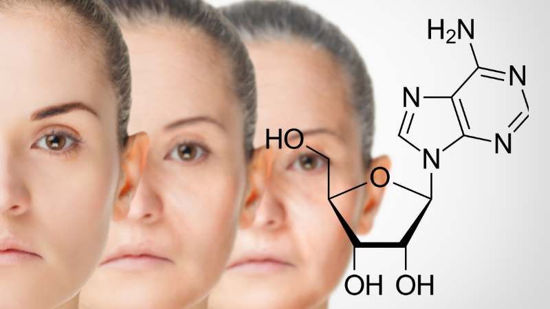 ADENOSINE