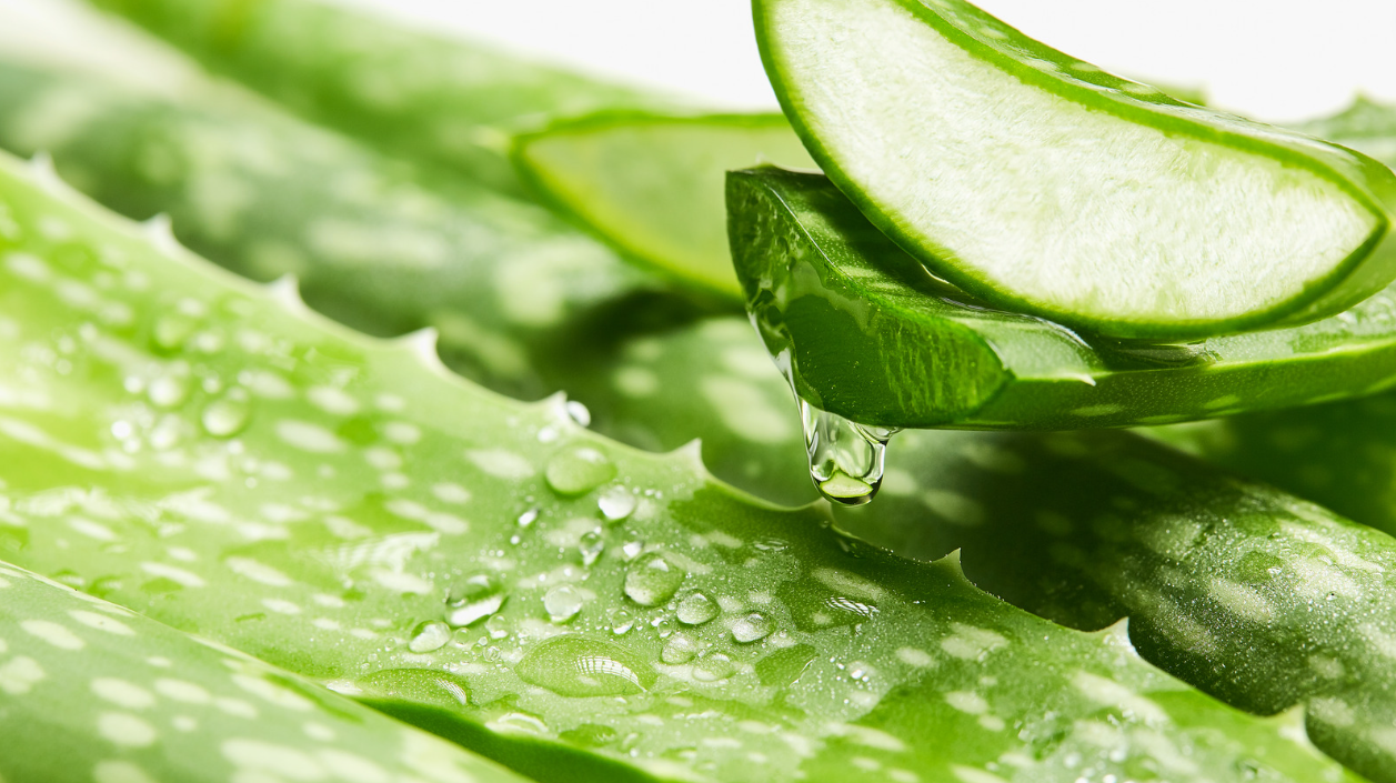 ALOE