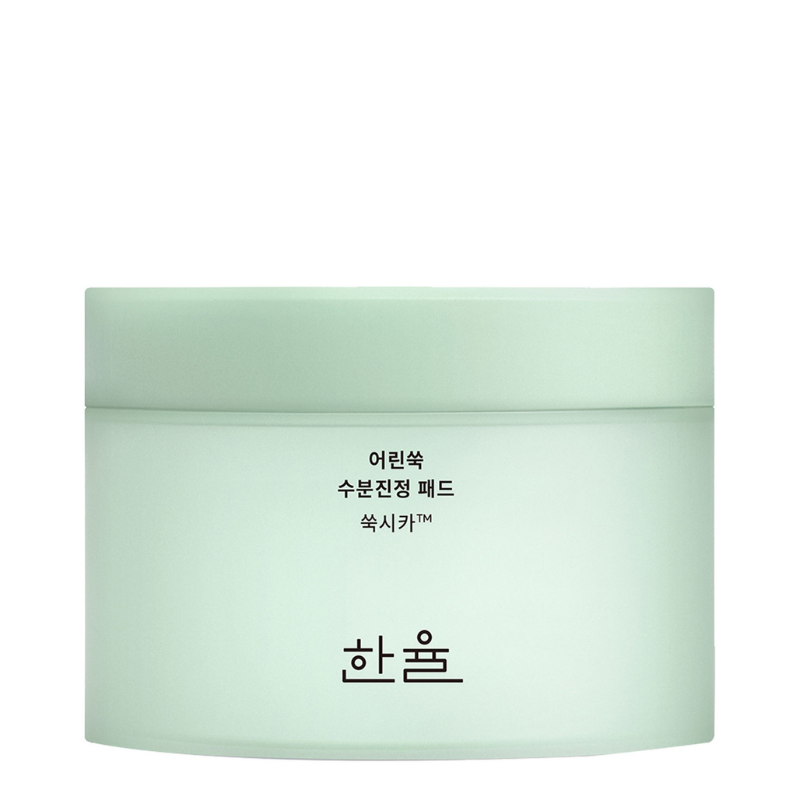Bestkoreanskincares TONER PAD Pure Artemisia Calming Water Pad (60 pads) HANYUL