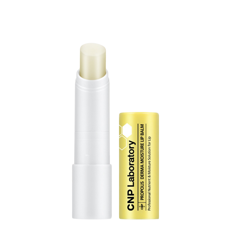 Bestkoreanskincares LIP CARE Propolis Derma Moisture Lip Balm CNP Laboratory