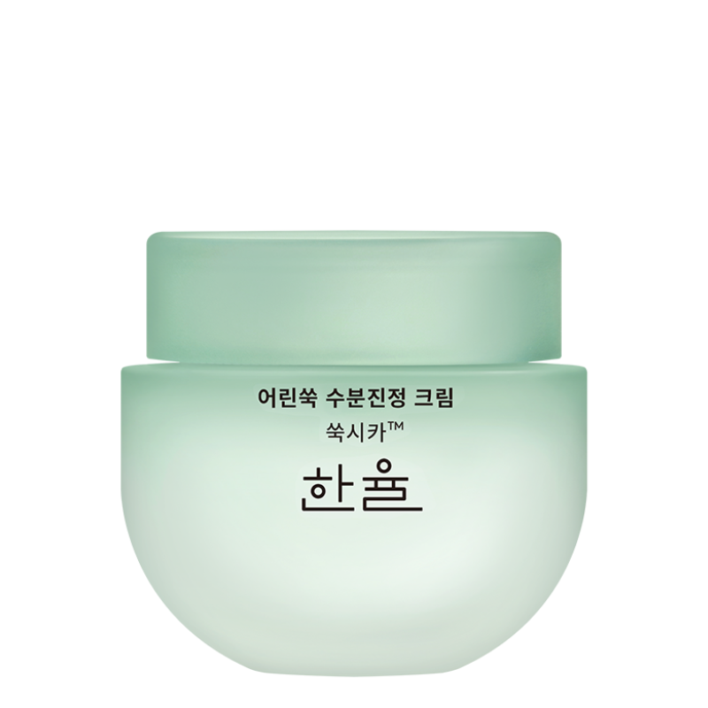 Bestkoreanskincares CREAM Pure Artemisia Calming Water Cream HANYUL