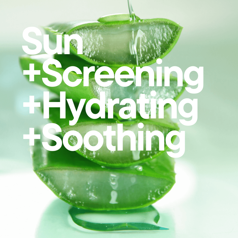 Bestkoreanskincares SUN CREAM Aloe Soothing Sun Cream SPF50+ PA+++ COSRX