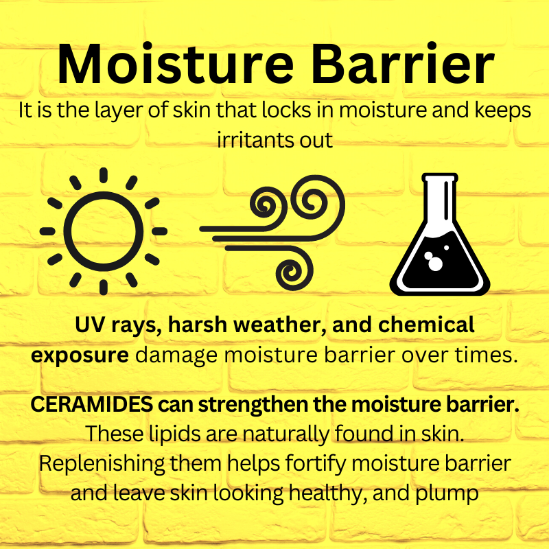 Bestkoreanskincares CREAM Ceramidin Ultra Moisture Cream Dr.Jart+