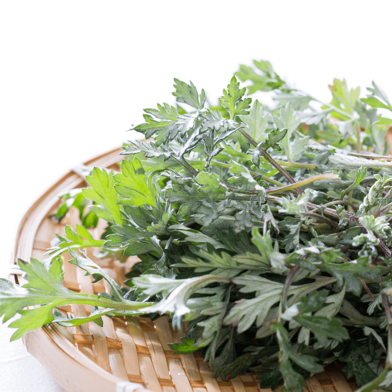 Bestkoreanskincares CREAM Mugwort Cream I'm from