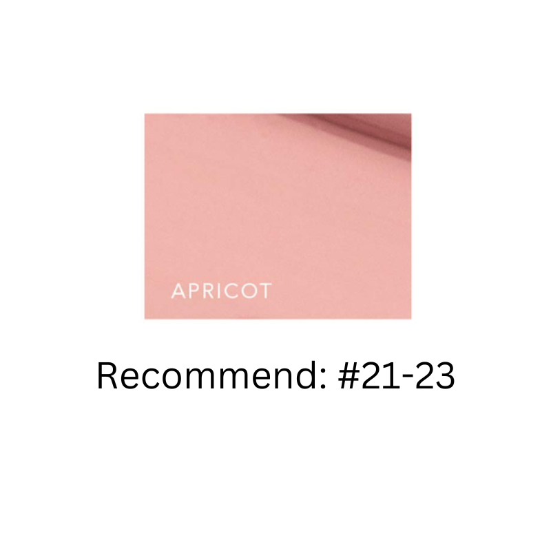 Bestkoreanskincares CONCEALER Blemish Cover Concealer - Apricot Hanskin
